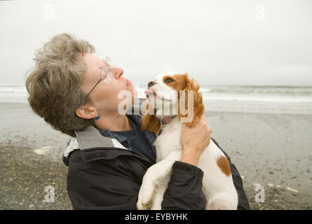 Sechs Monate alten Welpen (Mandy, ein Cavalier King Charles Spaniel) zu lecken eine Frau am Alki Beach in Seattle, Washington, USA Stockfoto