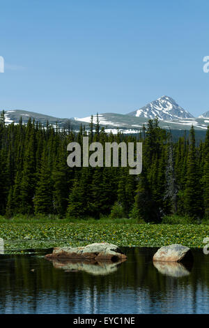 Am ruhigen, Sommer Wassern des Red Rock Lake, Bestandteil der Brainard Lake Recreation Area, mit Bergen im Hintergrund gesehen. Stockfoto