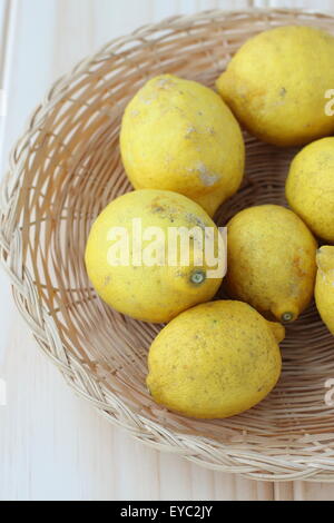 Homegrown Zitronen in einem Korb Stockfoto