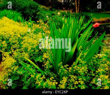 Carrigglas Manor, Co Longford, Irland; Informelle Pflanzen nahe dem See im Sommer Stockfoto