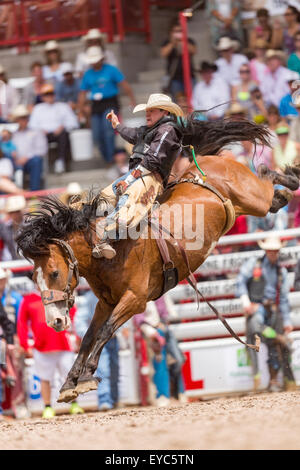 Cheyenne, Wyoming, USA. 26. Juli 2015. Bareback Reiter Tanner Aus der Granite Falls, Minnesota hängt die Bareback Meisterschaften an die Cheyenne Frontier Days Rodeo in Frontier Park Arena 26. Juli 2015 in Cheyenne, Wyoming zu gewinnen. Frontier Days feiert die Cowboy Traditionen des Westens mit einem Rodeo, Parade und Fair. Stockfoto