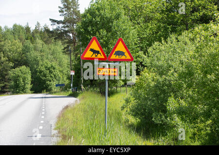 Warnung vor Wildschweinen und Elche auf der Straße Stockfoto