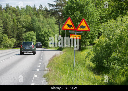 Warnung vor Wildschweinen und Elche auf der Straße Stockfoto