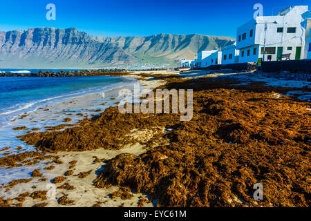 Strand und Dorf. Caleta de Famara, Lanzarote, Kanarische Inseln, Spanien, Europa. Stockfoto