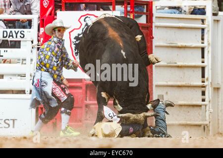 Cheyenne, Wyoming, USA. 26. Juli 2015. Bull Rider Lon Danley ist von einem Stier im Bull Riding Finale bei den Cheyenne Frontier Days Rodeo in Frontier Park Arena 26. Juli 2015 in Cheyenne, Wyoming aufspießen. Danley war unverletzt und ging aus der Arena. Stockfoto