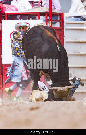 Cheyenne, Wyoming, USA. 26. Juli 2015. Bull Rider Lon Danley ist von einem Stier im Bull Riding Finale bei den Cheyenne Frontier Days Rodeo in Frontier Park Arena 26. Juli 2015 in Cheyenne, Wyoming aufspießen. Danley war unverletzt und ging aus der Arena. Stockfoto