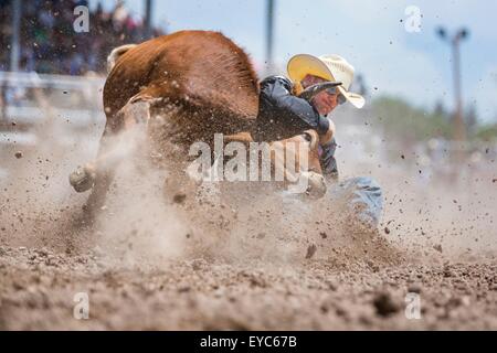 Cheyenne, Wyoming, USA. 26. Juli 2015. Steer Ringer Dakota Eldridge packt seine Steuern bei den Hörnern in den Finals Steer Wrestling im Cheyenne Frontier Days Rodeo in Frontier Park Arena 26. Juli 2015 in Cheyenne, Wyoming. Eldridge ging am zweiten Platz zu gewinnen. Stockfoto