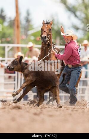 Cheyenne, Wyoming, USA. 26. Juli 2015. Steuern Sie Roper Robert Mathis im Steer Roping Finale bei den Cheyenne Frontier Days Rodeo in Frontier Park Arena 26. Juli 2015 in Cheyenne, Wyoming. Stockfoto