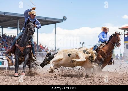 Cheyenne, Wyoming, USA. 26. Juli 2015. Team Roper Terry Shaffer und Lance Allen im Team Roping Finale bei den Cheyenne Frontier Days Rodeo in Frontier Park Arena 26. Juli 2015 in Cheyenne, Wyoming. Stockfoto