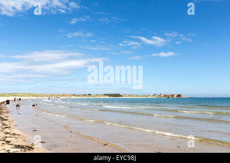 Beadnell Bay, Northumberland Stockfoto