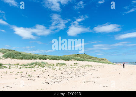 Beadnell Bay, Northumberland Stockfoto
