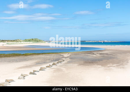 Beadnell Bay, Northumberland Stockfoto