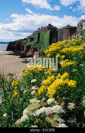 Duncannon Fort Museum, County Wexford, Irland; Historische Küstenstadt Festung und Museum Stockfoto