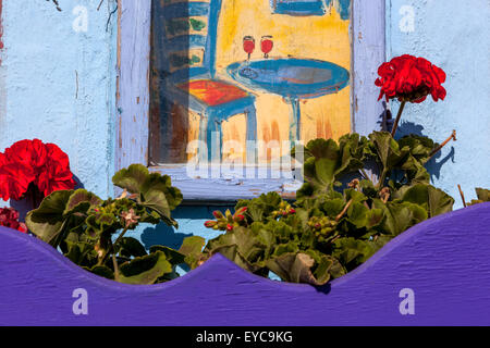 Pelargonium in einem blauen Holztopf, Kunst, Firostefani, Santorini, Kykladen, griechische Inseln, Griechenland Detail Stockfoto