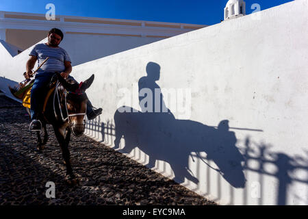 Ein Mann auf einem Esel, Fira Santorini Straße Kykladen griechische Insel, Griechenland Schattenmauer Stockfoto