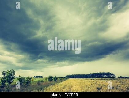 Vintage Foto von stürmischen Wolken über Mais-Feld im Sommer. Erschreckende Sturm über Land. Stockfoto