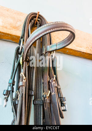 Pferd-Ausrüstung. Detail der einen Zaum hängen in einem Stall. Stockfoto