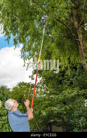 Langstielige Baum Astschere. Stockfoto