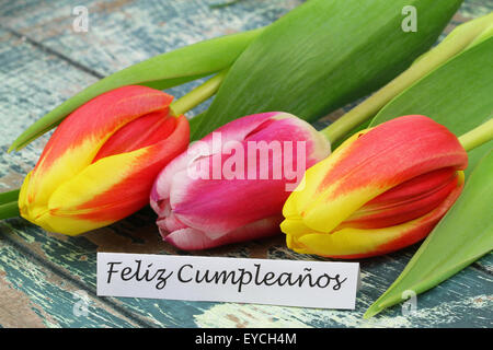 Feliz Cumpleanos (d.h. alles Gute zum Geburtstag in spanischer Sprache) Karte mit bunten Tulpen Stockfoto