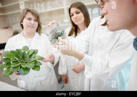 Wissenschaftler experimentieren mit Pflanzen in einem Labor Stockfoto