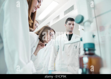 Wissenschaftler arbeiten im Labor Stockfoto