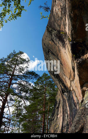 Astuvansalmi Felsmalereien, Lejon Finnland Stockfoto