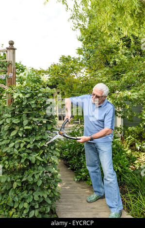 Senior woman schneiden mit der Schere Hecke. Stockfoto