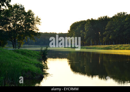 Schönen Sommer Sonnenuntergang am Fluss im Wald in der Ukraine. Stockfoto