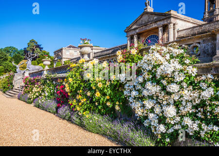 Rosen unter der Terrasse des Bowood House in Wiltshire. Stockfoto