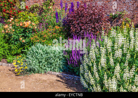 Krautige Grenze im ummauerten Garten der Bowood House in Wiltshire. Stockfoto