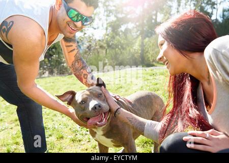 Junges Paar Petting Hund im park Stockfoto