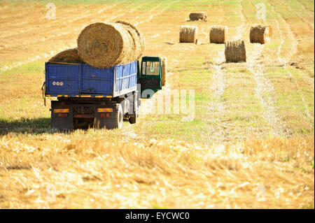 Ein LKW beladen mit Strohballen auf einem Feld bei der Ernte Stockfoto