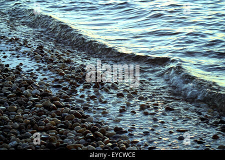 Kieselsteine wecken Erinnerungen als deine Lüge awash am Rand Wassers bei Sonnenuntergang in Peconic Bay Beach, Long Island, New York. Stockfoto