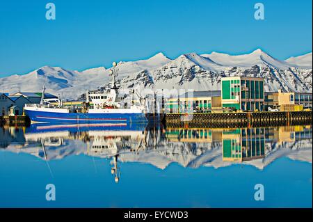 Sicht auf Hafen Angelboote/Fischerboote und Schnee bedeckt Berge, Hofn, Island Stockfoto