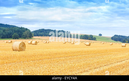 Panoramablick auf abgeernteten Feld mit Heuballen. Stockfoto