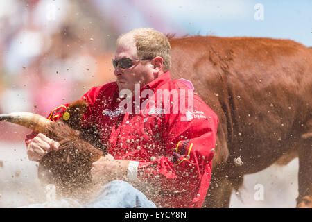 Cheyenne, Wyoming, USA. 26. Juli 2015. Steer Ringer Hunter Cure packt seine Steuern bei den Hörnern in den Finals Steer Wrestling im Cheyenne Frontier Days Rodeo in Frontier Park Arena 26. Juli 2015 in Cheyenne, Wyoming. Eldridge ging am zweiten Platz zu gewinnen. Stockfoto