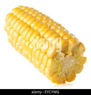 frischer Mais Ohr auf dem weißen Hintergrund isoliert. Stockfoto