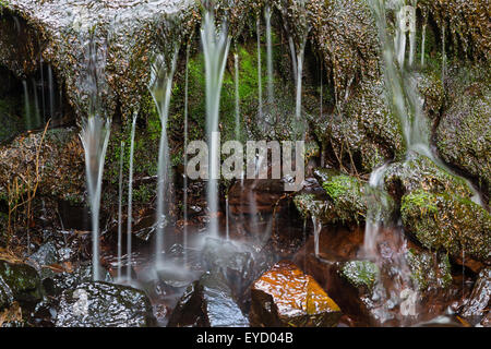 Detail-Schuss von kleinen Wasserfällen in einem Gebirgsbach im hohen Venn, Ardennen, Belgien Stockfoto