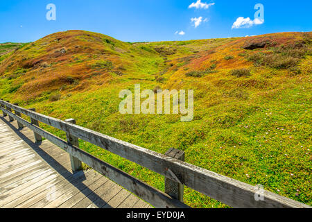 Die Nobbies Stockfoto