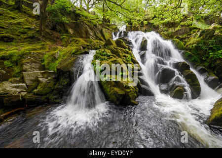 Wasserfall in der Nähe von Llanberis, Snowdonia, North Wales. Stockfoto