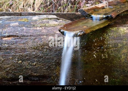 hölzernen Kanal für Wasser bei einer Quelle in den Bergen Stockfoto