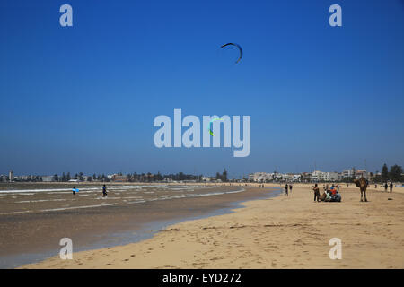 Essaouira Strand mit dem starken Wind "die Alizes", so dass gute Bedingungen für Kite-Surfen in Marokko, Nordafrika Stockfoto