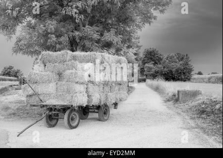 Bauernhof-Wagen mit Heuballen gestapelt links auf der Straße (schwarz e weiß) Stockfoto