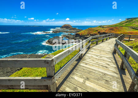 Promenaden der Nobbies Stockfoto