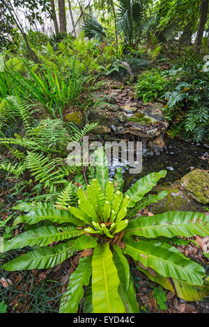 Kanapaha Spring Garden Festival in Gainesville Florida. Stockfoto