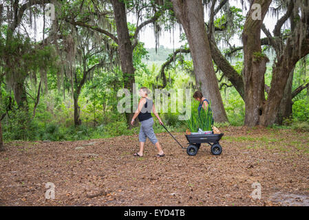 Jährlichen Spring Garden Festival in Kanapaha botanischen Gärten in Gainesville, Florida. Stockfoto