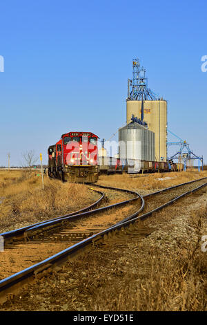 Ein vertikales Bild eines kanadischen nationalen Güterzugs Korn Autos auf die Getreide-Silos werden geladen Stockfoto