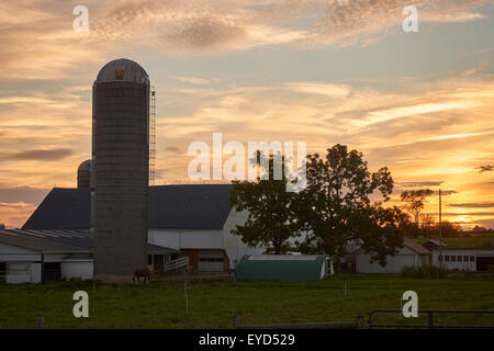 Sonnenuntergang an der Miller-Bio-Bauernhof in Lancaster County, Pennsylvania, USA Stockfoto