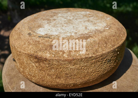 Savah Schaff - ein trockener Schafskäse Pecorino stilgerecht von Lancaster County, Pennsylvania, USA Stockfoto