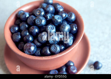 Heidelbeeren in Schüssel schließen sich Tönung Foto Stockfoto